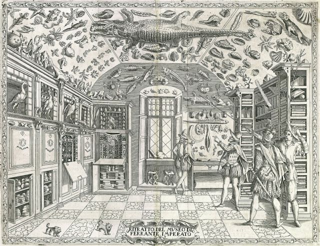 A cabinet of curiosities engraving from Ferrante Imperato's Dell'Historia Naturale (Naples, 1599)