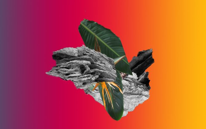 Numérique computationnel