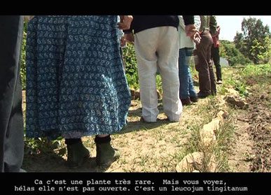 Inventing the Possible – Ephemeral Video Library