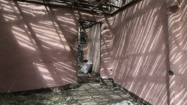 New curators on the block 