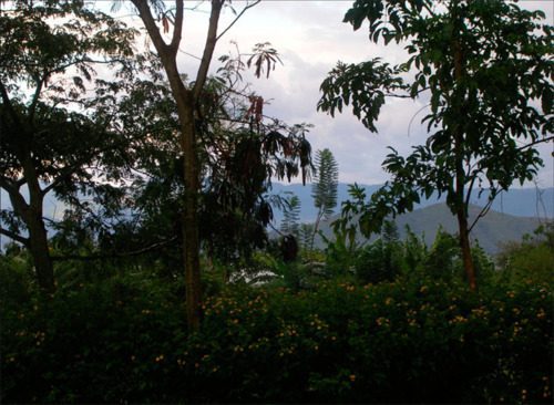 Emma Wolukau-Wanambwa : « De nombreux changements se sont produits au cours des quatre années ayant suivi ma première visite à Kampala.  »