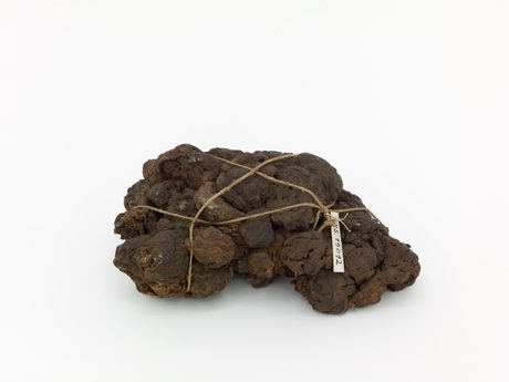 Just a Lump of Some Black Substance: Tom McCarthy in conversation with Clémentine Deliss