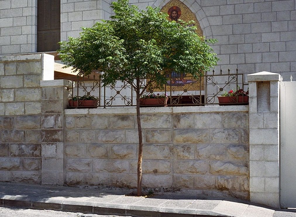 "The precarity of artistic labour induces a certain schizophrenia."