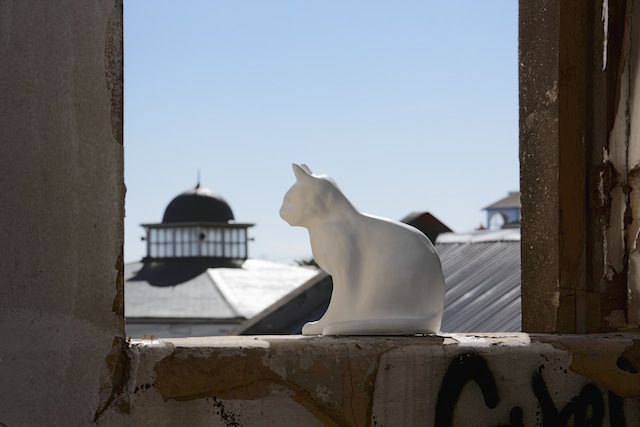 89plus in South Africa