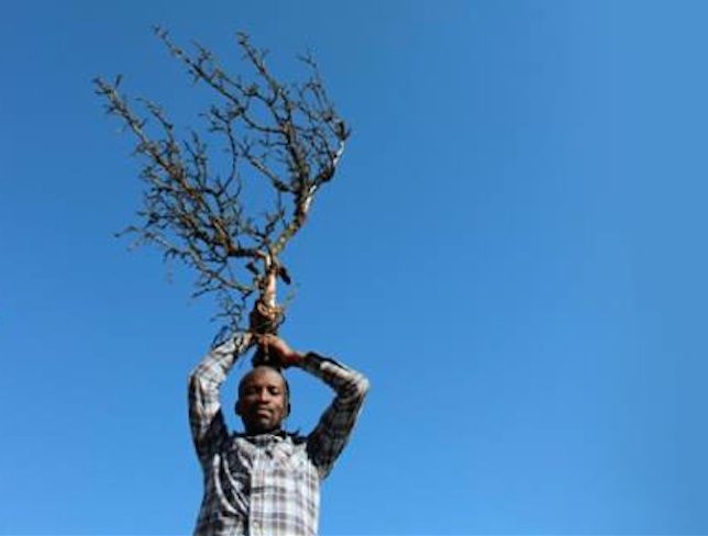 Earth With Trees And Water I Am: Story From Africa – Illustrated talk and Performance by Jelili Atiku