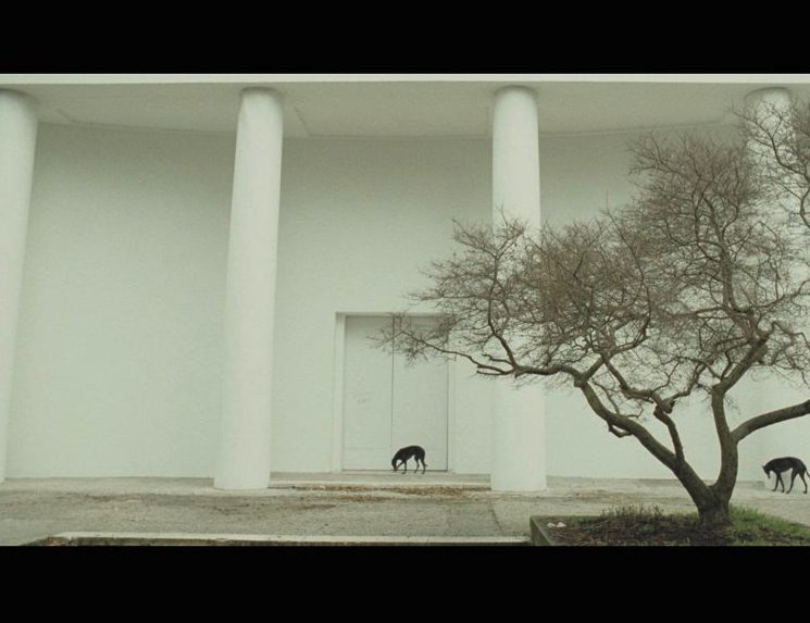 “We have to test the premise that nations no longer matter.”