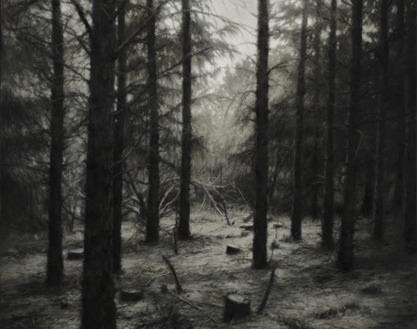 Jaco van Schalkwyk : Eden