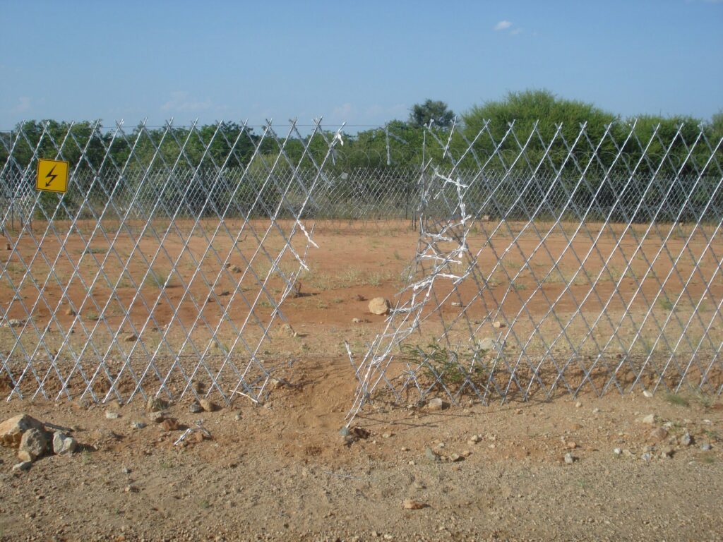 Kabbo Ka Muwala: The Girl’s Basket – Group Show