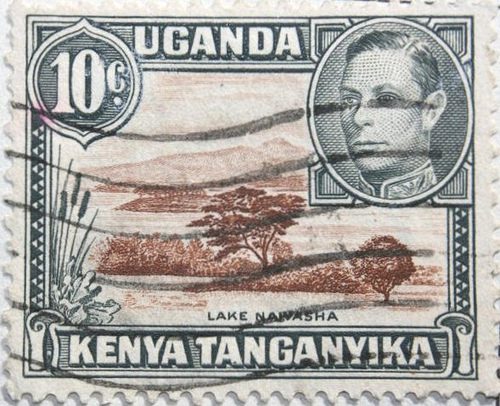 Trans-African Clarity