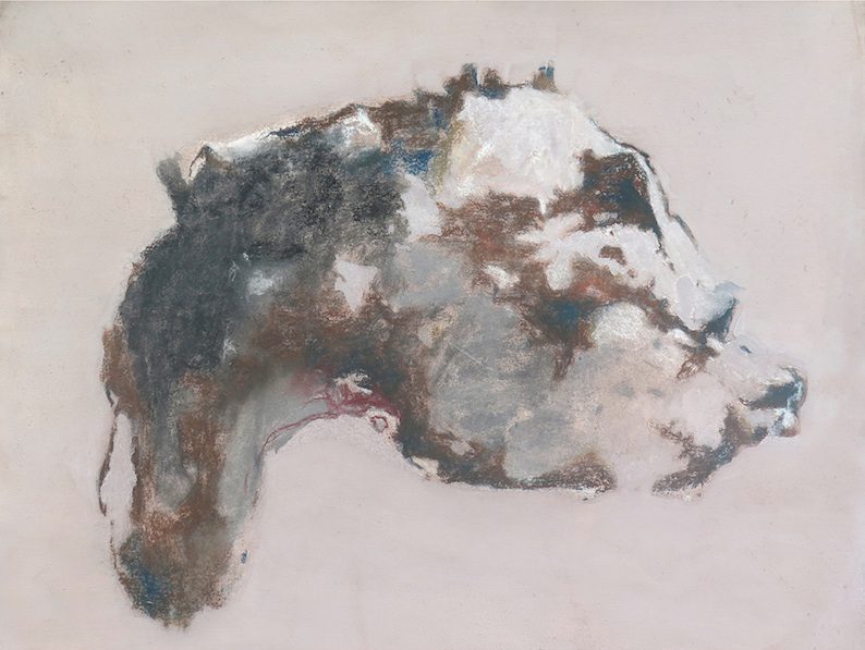 Sadikou Oukpedjo: Anima 