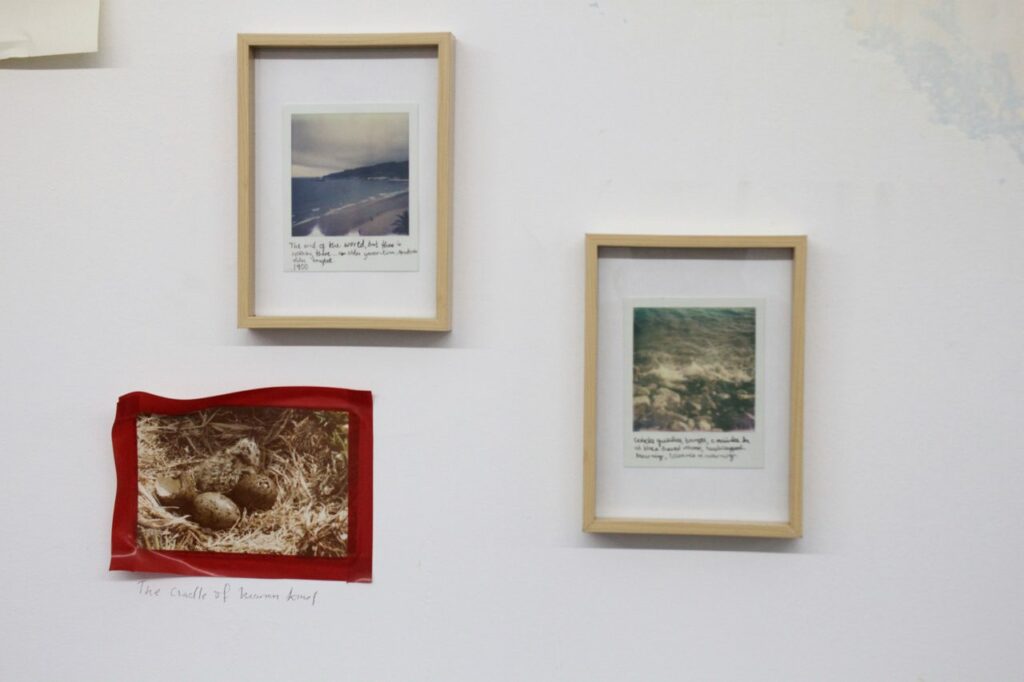 Open Studio at Hangar, 2016, Lisbon, Courtesy of the Artist