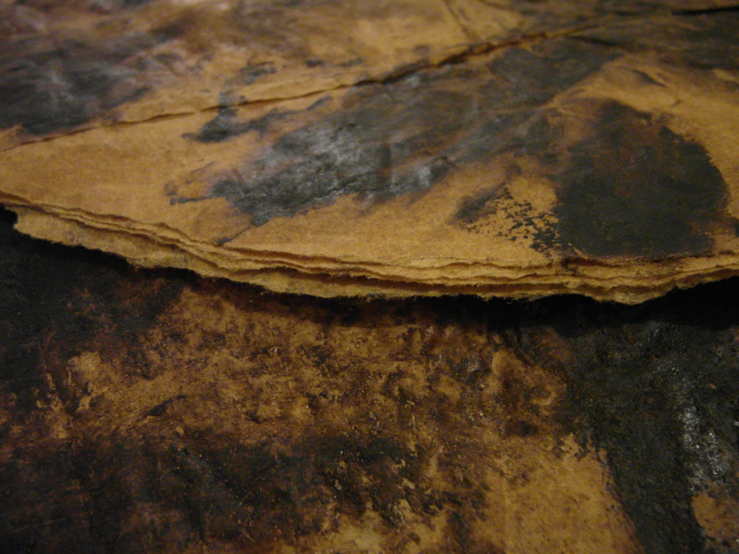 Moshekwa Langa, Untitled,1995