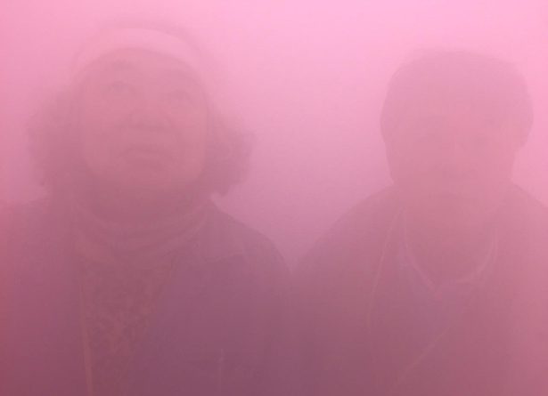 Curating The International Diaspora: « Is the Curator an Agent or Double Agent of Cultural Identity? »