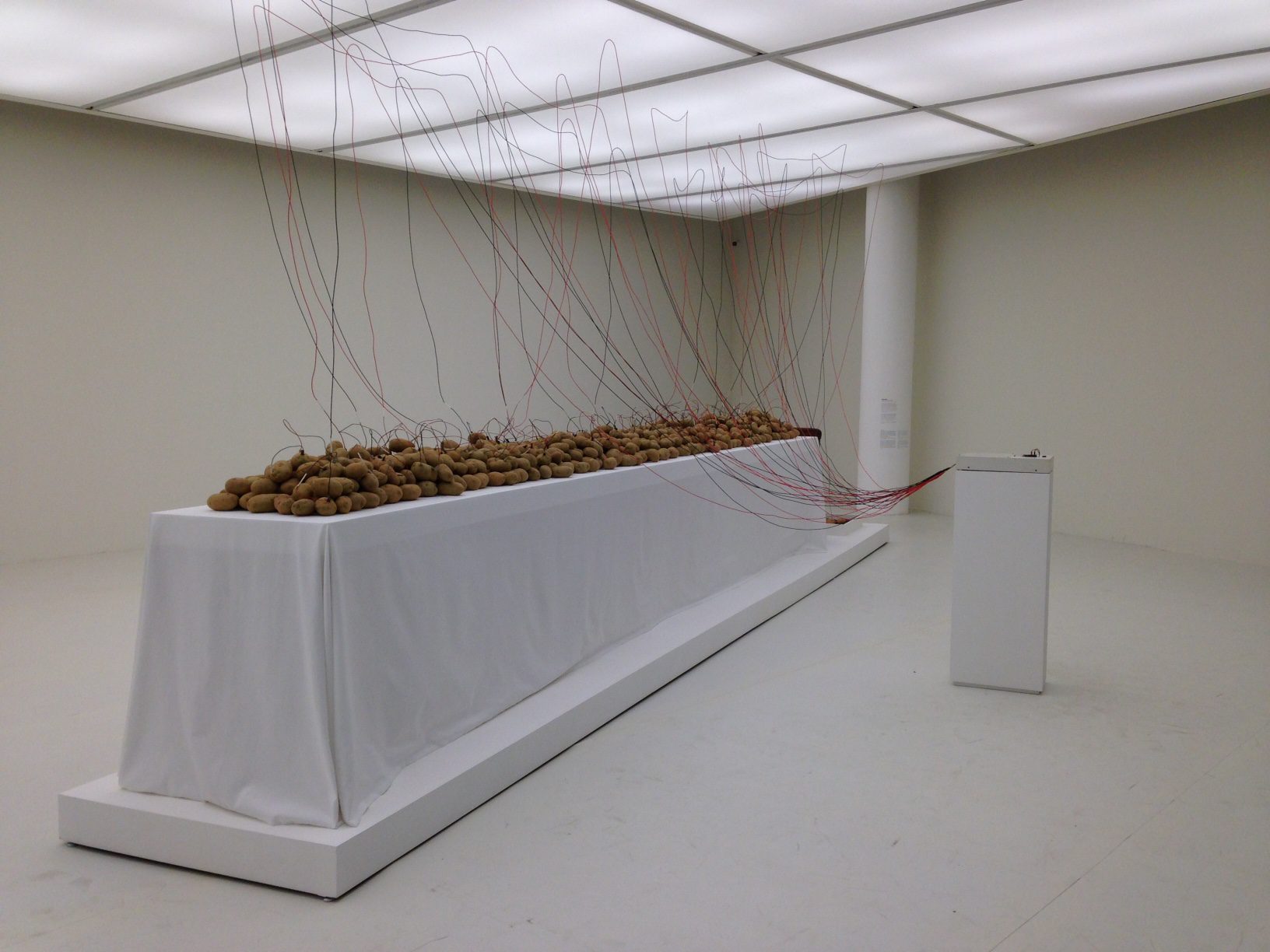 32nd Bienal de São Paulo