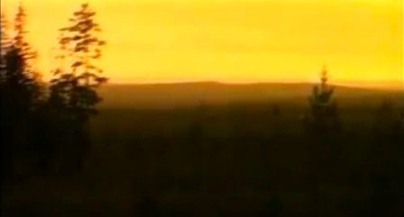 IMMORTALITY FOR ALL : OBSERVATORIUM LABORATORIUM #1