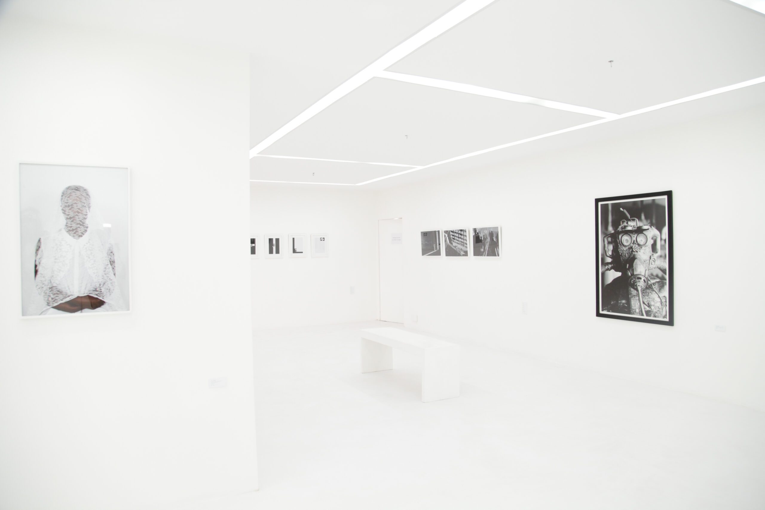 Exploring New Ideas in Photography