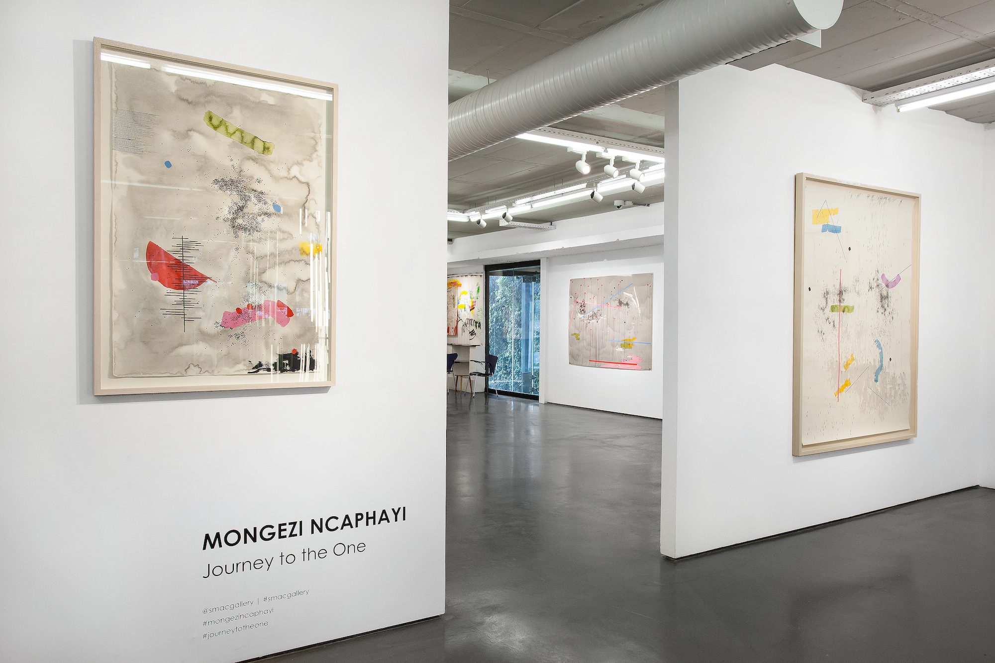 Journey to the One by Mongezi Ncaphayi