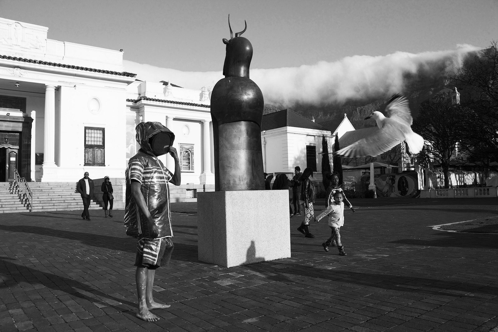 Alive, Awake, and Conscious