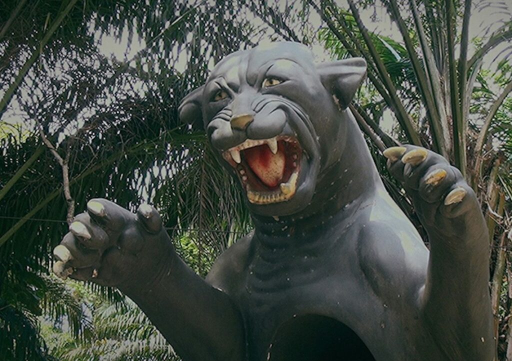 Jaguars and Electric Eels – Group Show