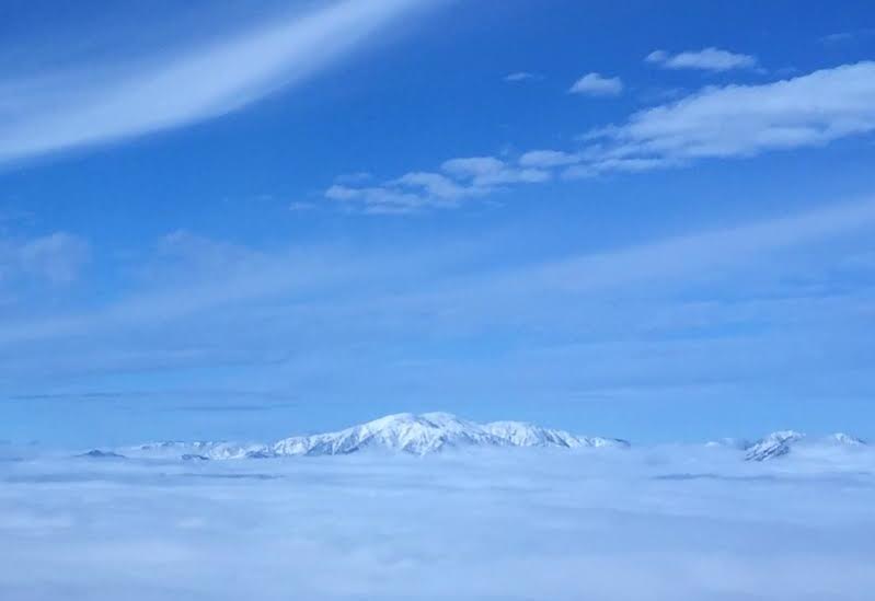 EJ Hill: The Necessary Reconditioning of the Highly Deserving, courtesy of the artist