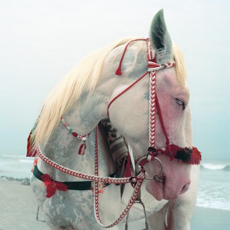 Afrique Capitales: Cape Of Good Hope Here We Come