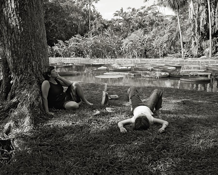 Jo Ractliffe, 07: Pamplemousses, 2007, digital silver gelatin print, 41.7 x 52cm