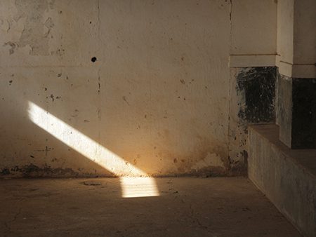 César Schofield Cardoso, 2017