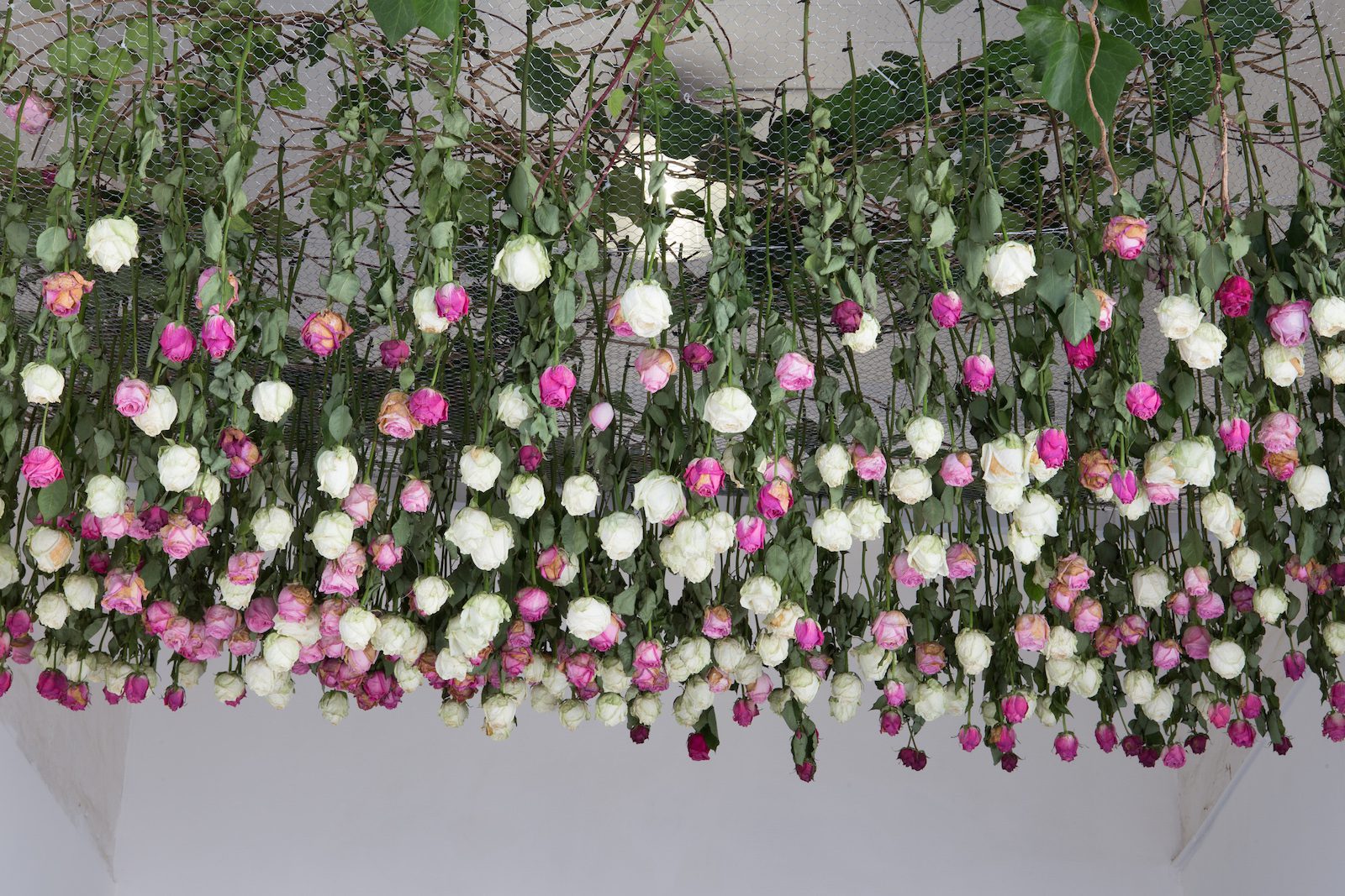 #SayHerName, 2016, Rose Installation at the entrance to Stevenson, Cape Town. Copyright the artist. Courtesy of Stevenson, Cape Town and Johannesburg.
