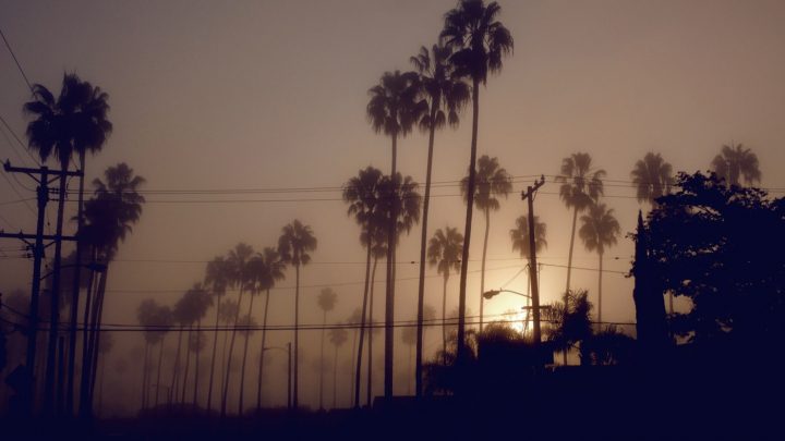 Arthur Jafa, Dreams are Colder than Death (Still), 2013. Courtesy the artist and Gavin Brown’s enterprise, New York/Rome. 
