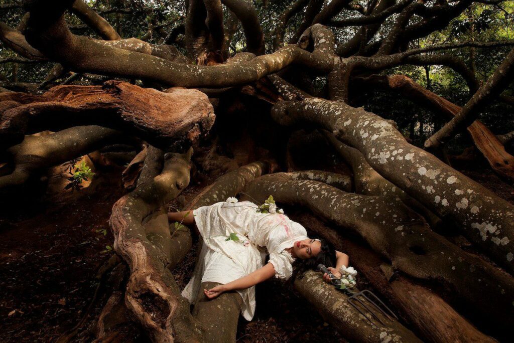 Thania Petersen, God save our hedge, Botanical imperialism series 2015, Courtsey Everard Read CIRCA Gallery