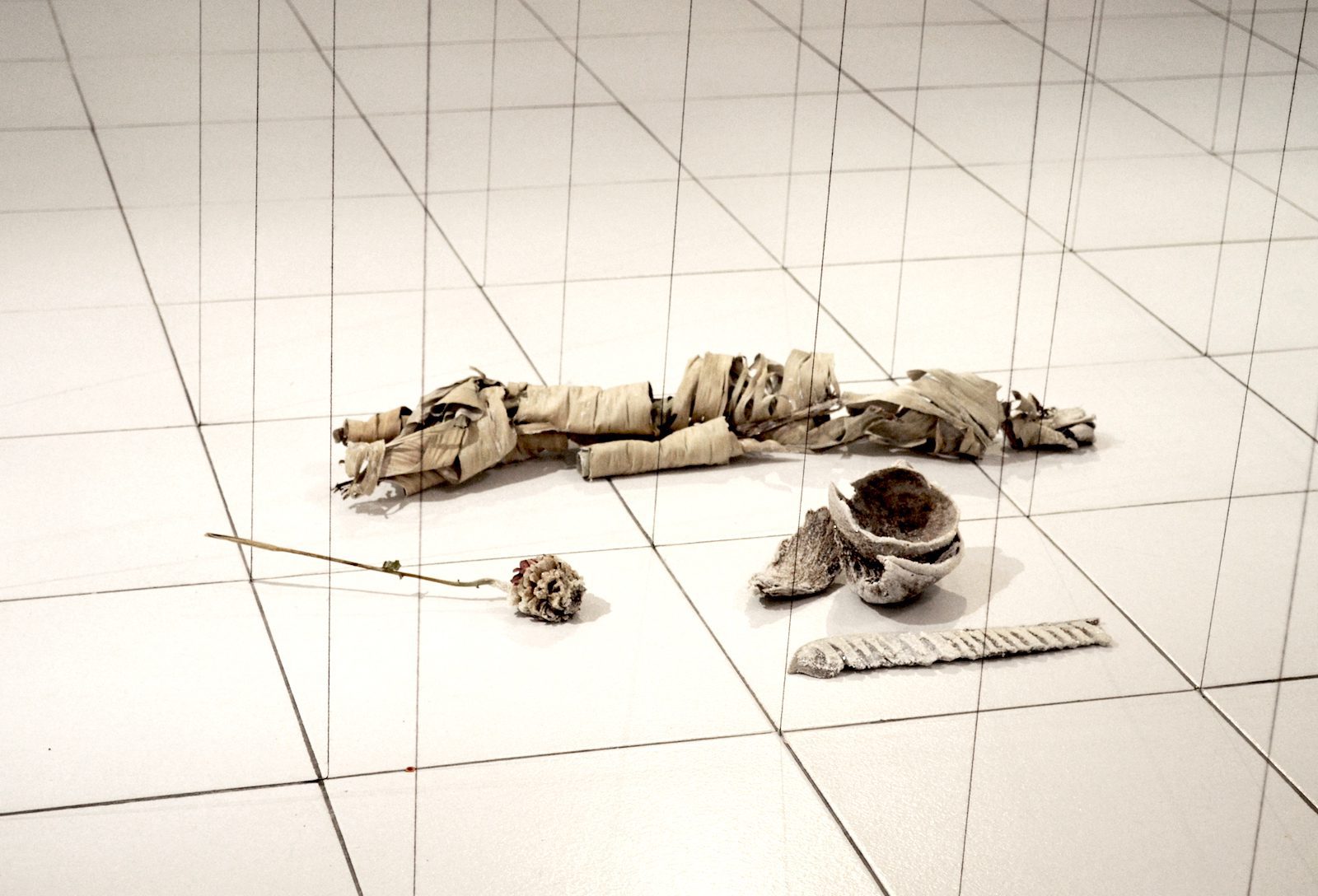 Minia Biabiany, The Unity is submarine, Installation 2015. Courtesy by the artist.