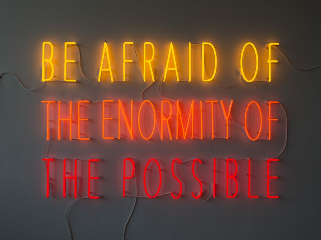 Alfredo Jaar, Be Afraid of the Enormity of the Possible, 2015 Neon, 120,6 x 182,9 cm / 47,5 x 72 inches, Edition of 3