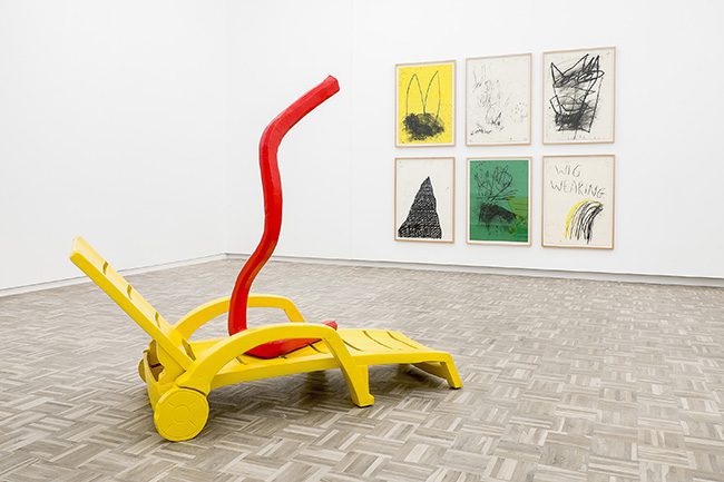 Cameron Platter, ZOL (2017) | Installation view, blank projects