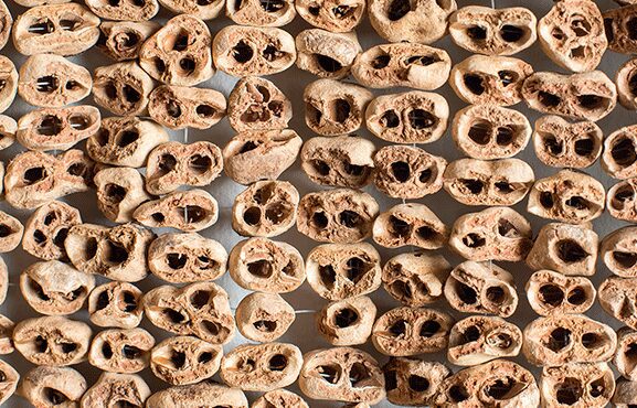 Ismael Shivute, All Eyes On Me (Detail), Mixed Media (marula fruit, fishing line, metal), 1265 x678 mm, 2017. Courtesy StArt Art Gallery