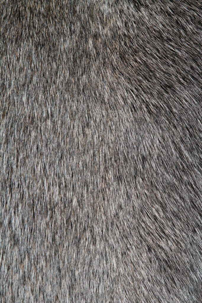 Bianca Baldi, Zero Latitude (De Brazza) (2014) , Courtesy of the artist.