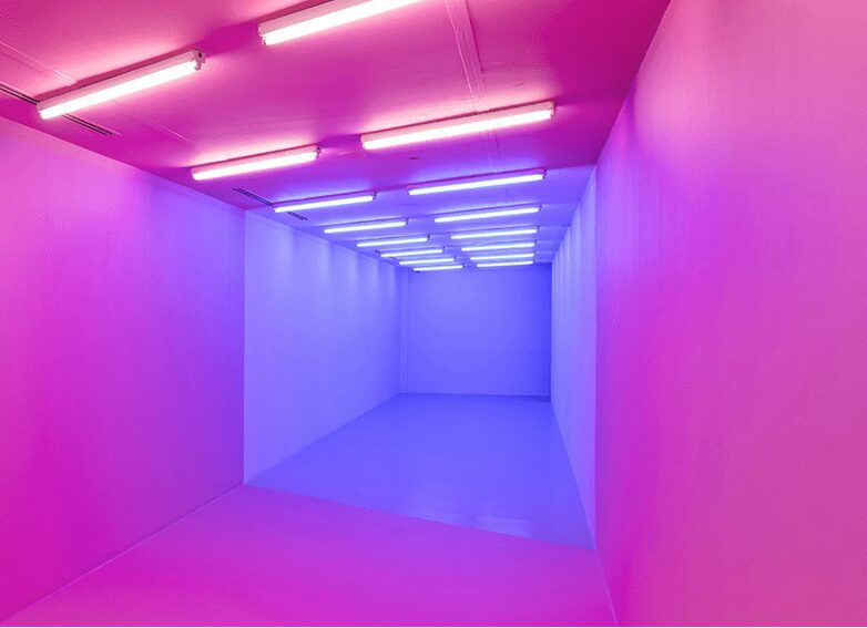 Kapwani Kawanga: A wall is just a wall installation view: The Power Plant , Toronto 2017, Courtesy of the Artist and Gallery Tanja Wagner Berlin and Gallery Jérome Poggi Paris, Photo: Tony Hafkenscheid