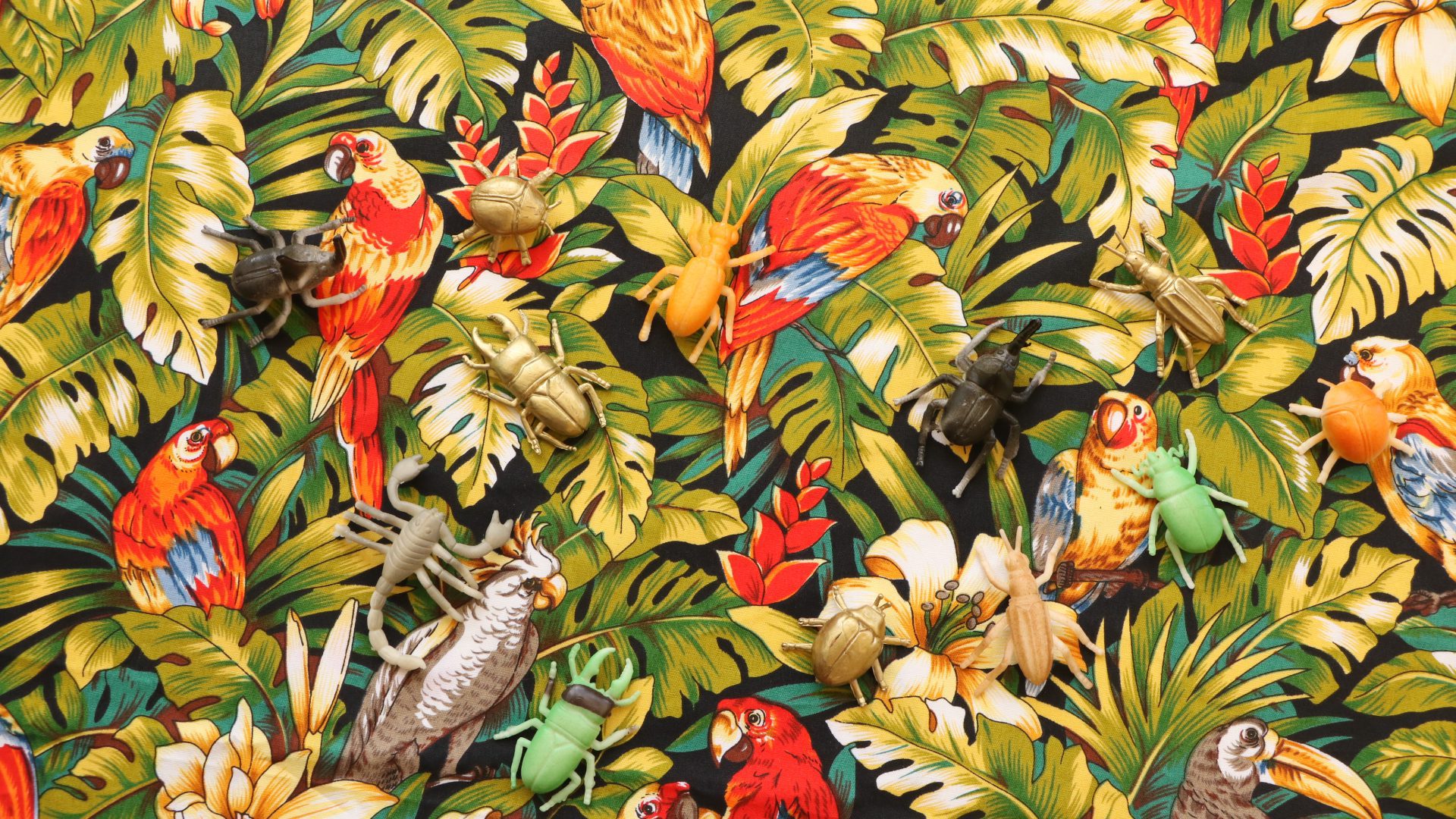 Oneika Russell, Ambassador of the New World (video still/ installation detail), 2016 