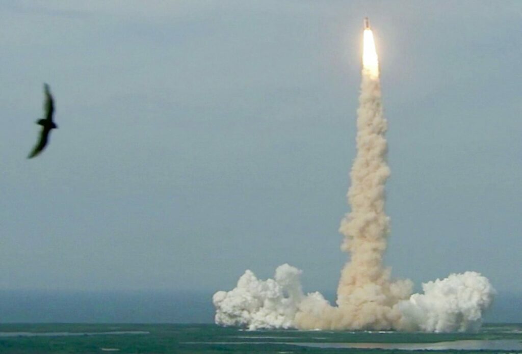 Emo de Medeiros - Transmutation 2016 (Video stills) (detail), Courtesy of LagosPhoto 