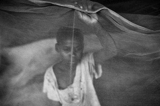 Photography by Mário Macilau. Courtesy the artist and AKKA Projects
