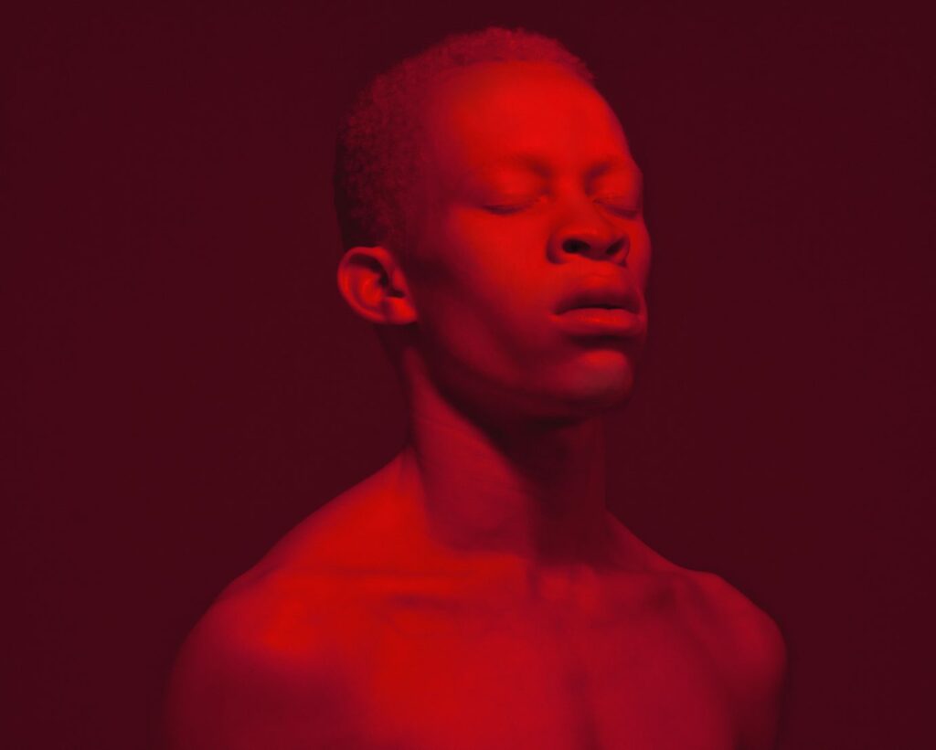 Justin-Dingwall, Cerasinus (Detail). Photographic Giclèe print on 100% cotton fine art paper, 2015  
© Justin Dingwall. Courtesy ARTCO Gallery