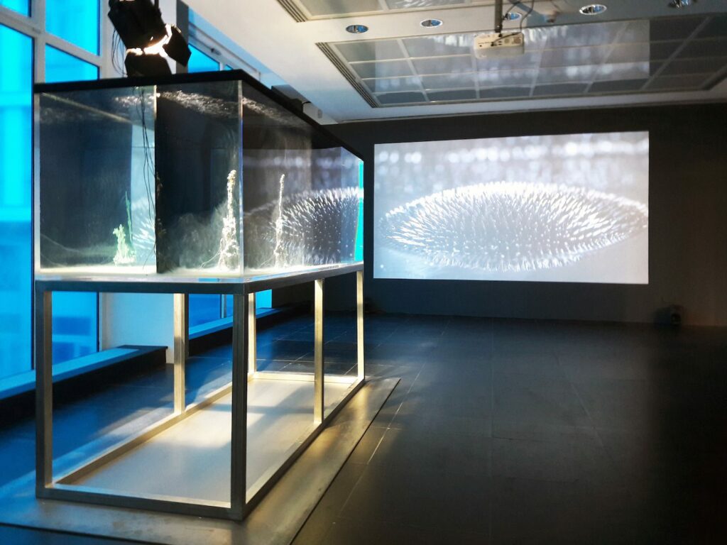 Hicham Berrada, Copyright; Frankfurter Kunstverein, Courtesy  the artist, WENTRUP, Berlin & kamel mennour, Paris/London