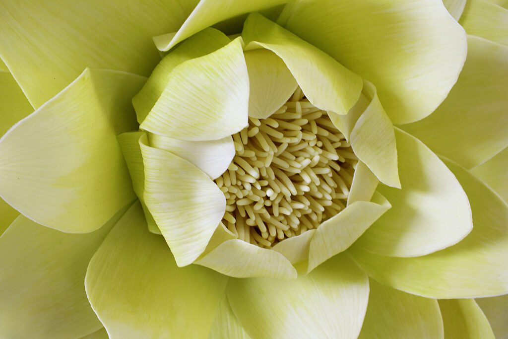 Owanto, Detail of La Jeune Fille à la Fleur (Flowers II)
2017
Photograph UV print on aluminium with cold porcelain flower 288 x 200 cm
*From the Permanent collection of the Zeitz Museum of Contemporary Art Africa Courtesy of Owanto Studio
