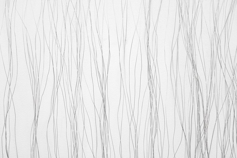 Bronwyn Katz, ‡õã-!hoas, 2019 (detail)