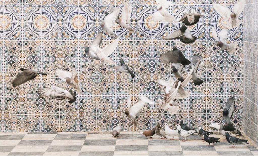 M'hammed Kilito, Cinema Camera (Detail) ,2018.