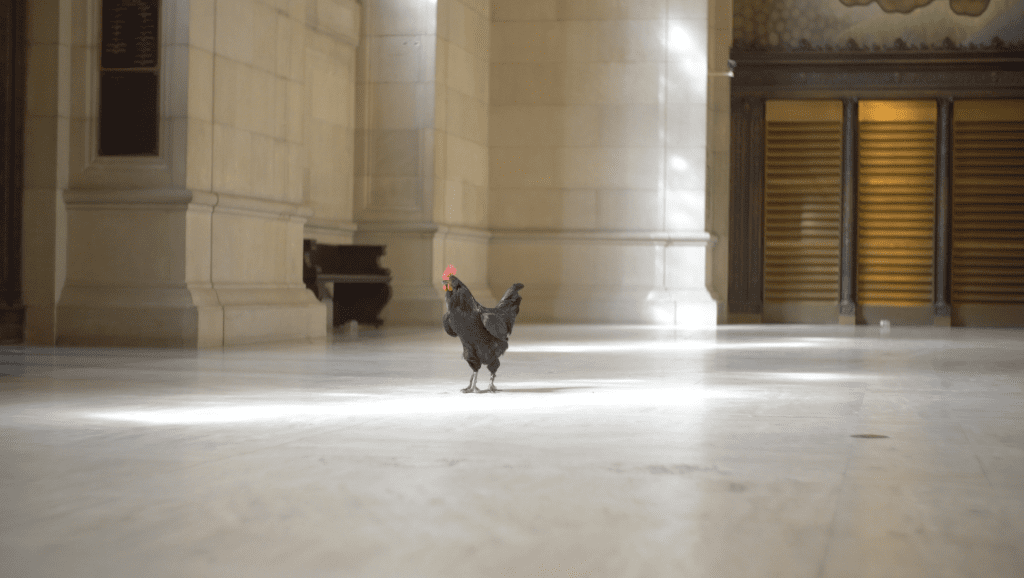 'The day I stopped kissing my father' a Film by James Gregory Atkinson