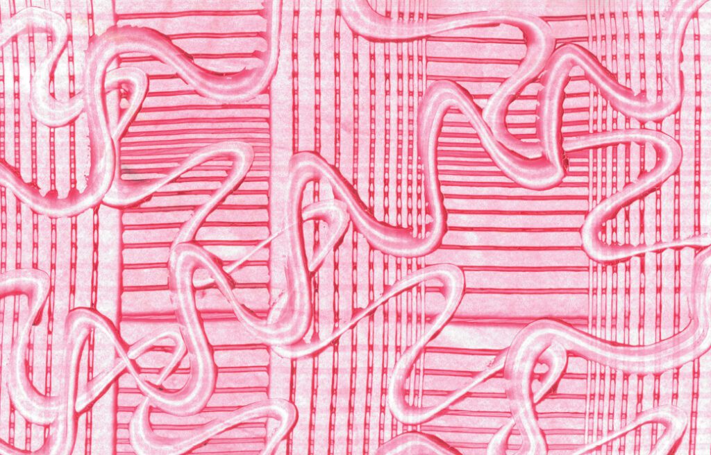 Yto Barrada: Double Skin