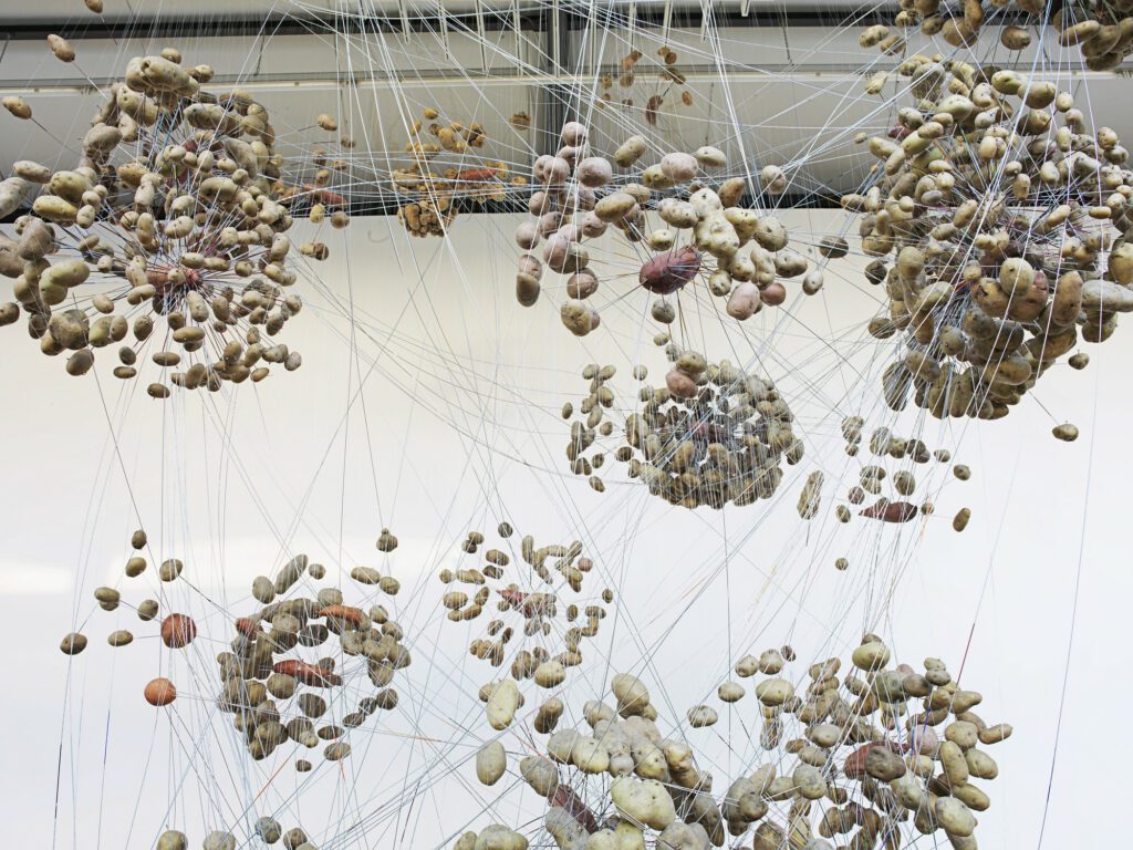 Jeanne van Heeswijk, Works, Typologies and Capacities. Courtesy Jeanneworks.