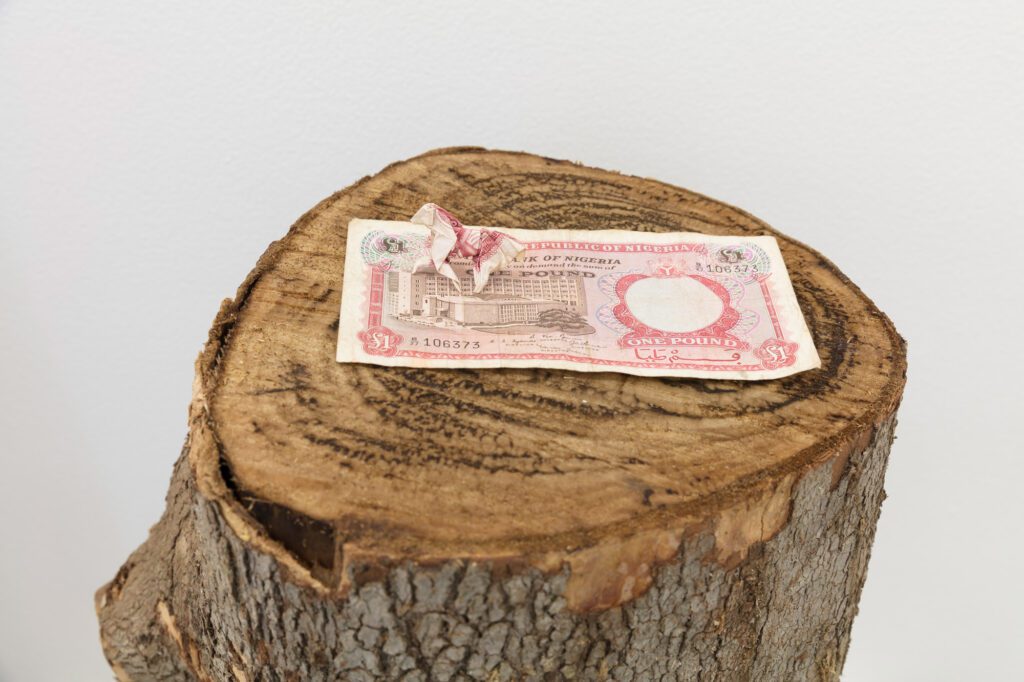 Paulo Nazareth, BESTIARY OF CAPITAL - HORSE [detail]