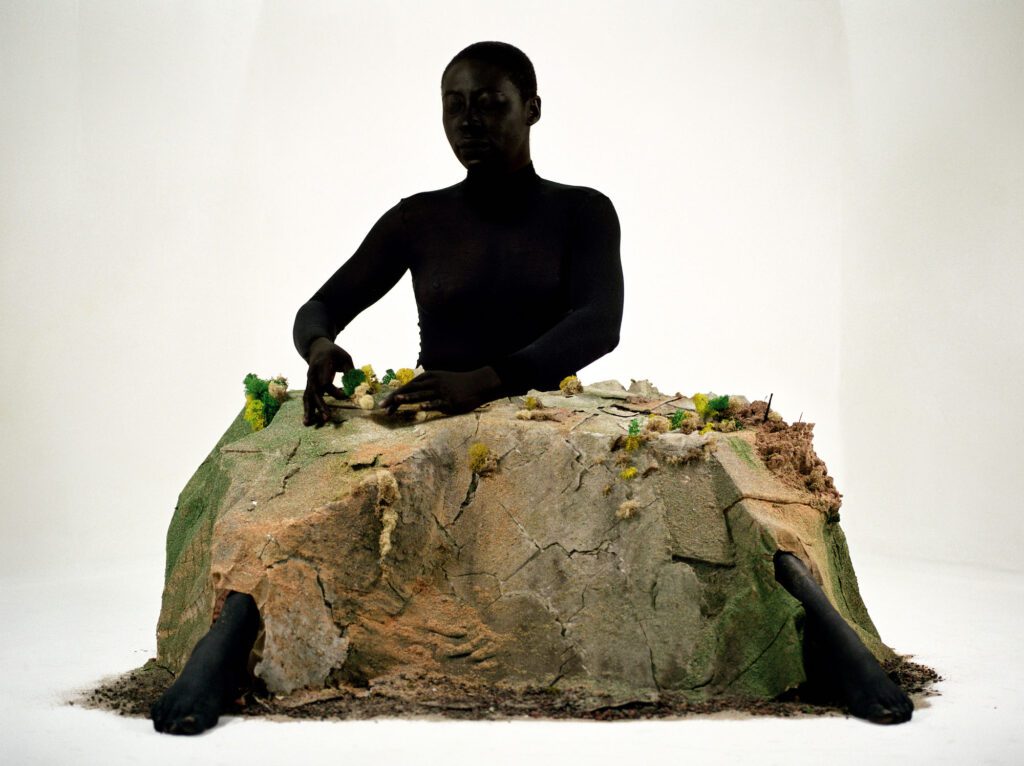 Otobong Nkanga, Alterscapes: Playground (A), 2005-2015, Courtesy of the artist and Galerie In Situ Fabienne Leclerc, Paris © Otobong Nkanga