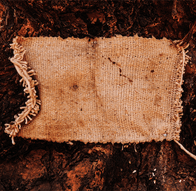 Kani Sissoko, Affliction, Makoun, 2015, Digital photograph, Dimensions variable